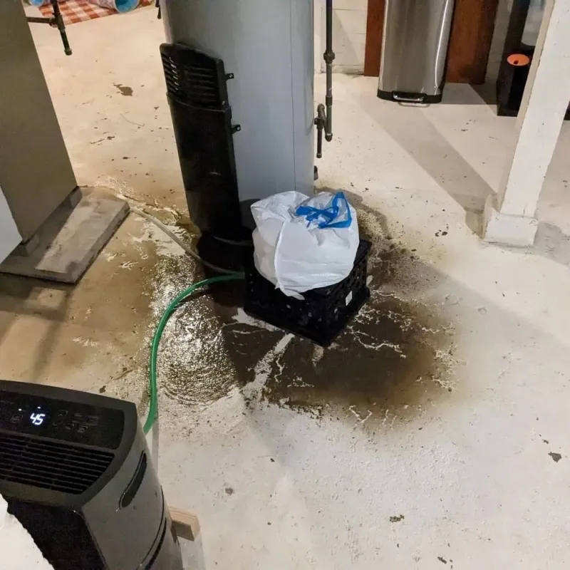 Sewage Backup Cleanup Service in Yreka, CA